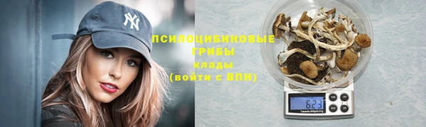 мескалин Гусь-Хрустальный