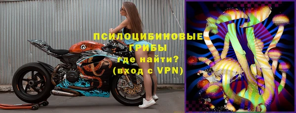 spice Гусиноозёрск